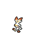 Picture of a Scorbunny